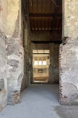 Albrecht&Lewark
